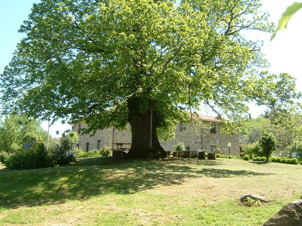 Antico Casale Pozzuolo Villa Seggiano Exterior photo